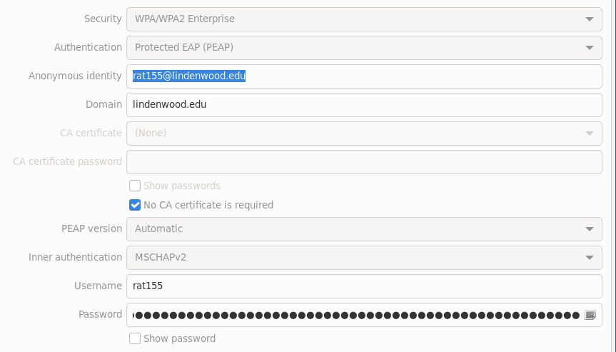 Network Manager Configuration